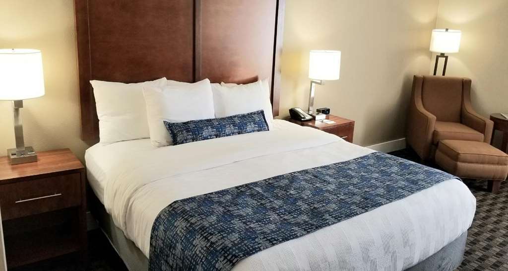 Best Western Plus Greenville I-385 Inn & Suites Pokoj fotografie