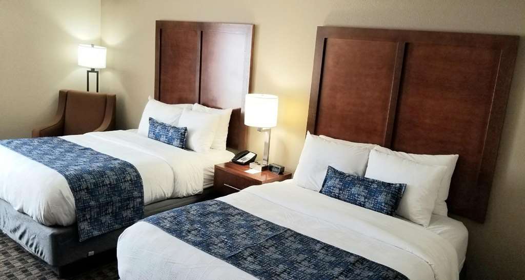 Best Western Plus Greenville I-385 Inn & Suites Pokoj fotografie